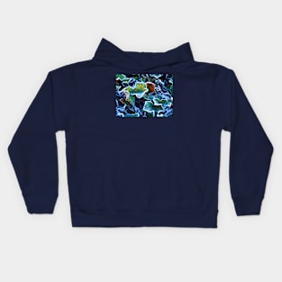 Frost on Ivy Leaves Canberra ACT Australia Kids Hoodie